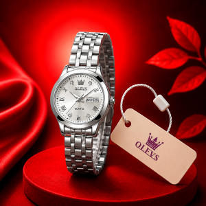 BINBOND Women's Diamond Watch (Silver)